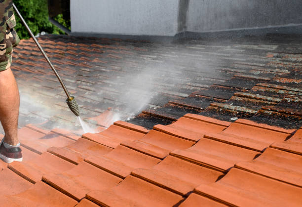 Best Local Pressure Washing Services  in Silver Grove, KY