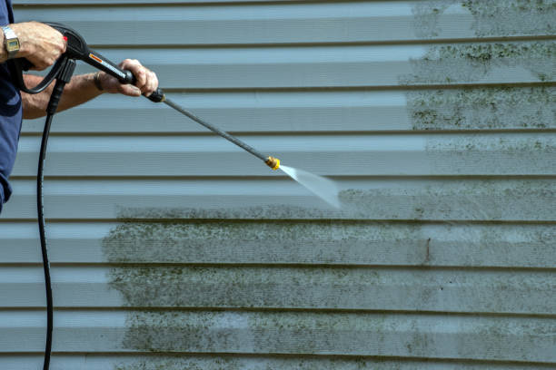 Best House Pressure Washing  in Silver Grove, KY